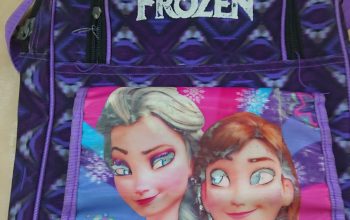 Frozen school bag for kids